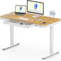 Electric Standing Desk USB Ports And Drawer Bamboo White