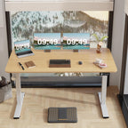 Electric Height Adjustable Desk 55 X 24 Memory Preset