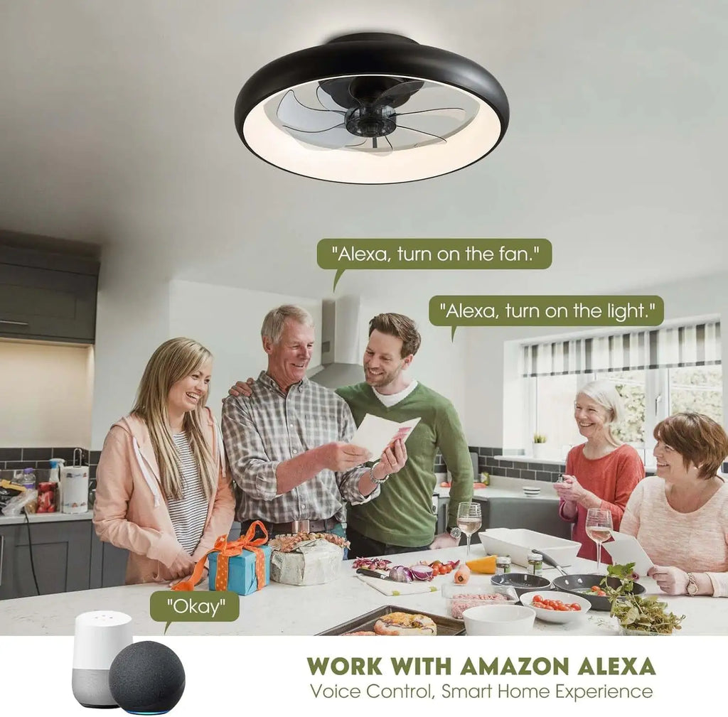20 Inch Black Flush Mount Smart Ceiling Fan With LED Lights
