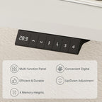 EN1 Electric Standing Desk 48x24 Inches White Frame