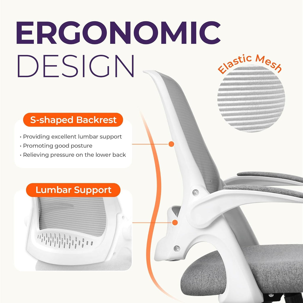 Ergonomic Chair With Lumbar Support And Adjustable Height