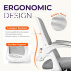 Ergonomic Chair With Lumbar Support And Adjustable Height