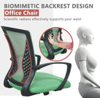 Green Ergonomic Mesh Office Chair With Lumbar Support