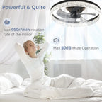 20 Inch Black Ceiling Fan With Lights And Remote, Dimmable, Flush