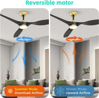 52 Inch Black Gold Indoor Ceiling Fan With LED Light