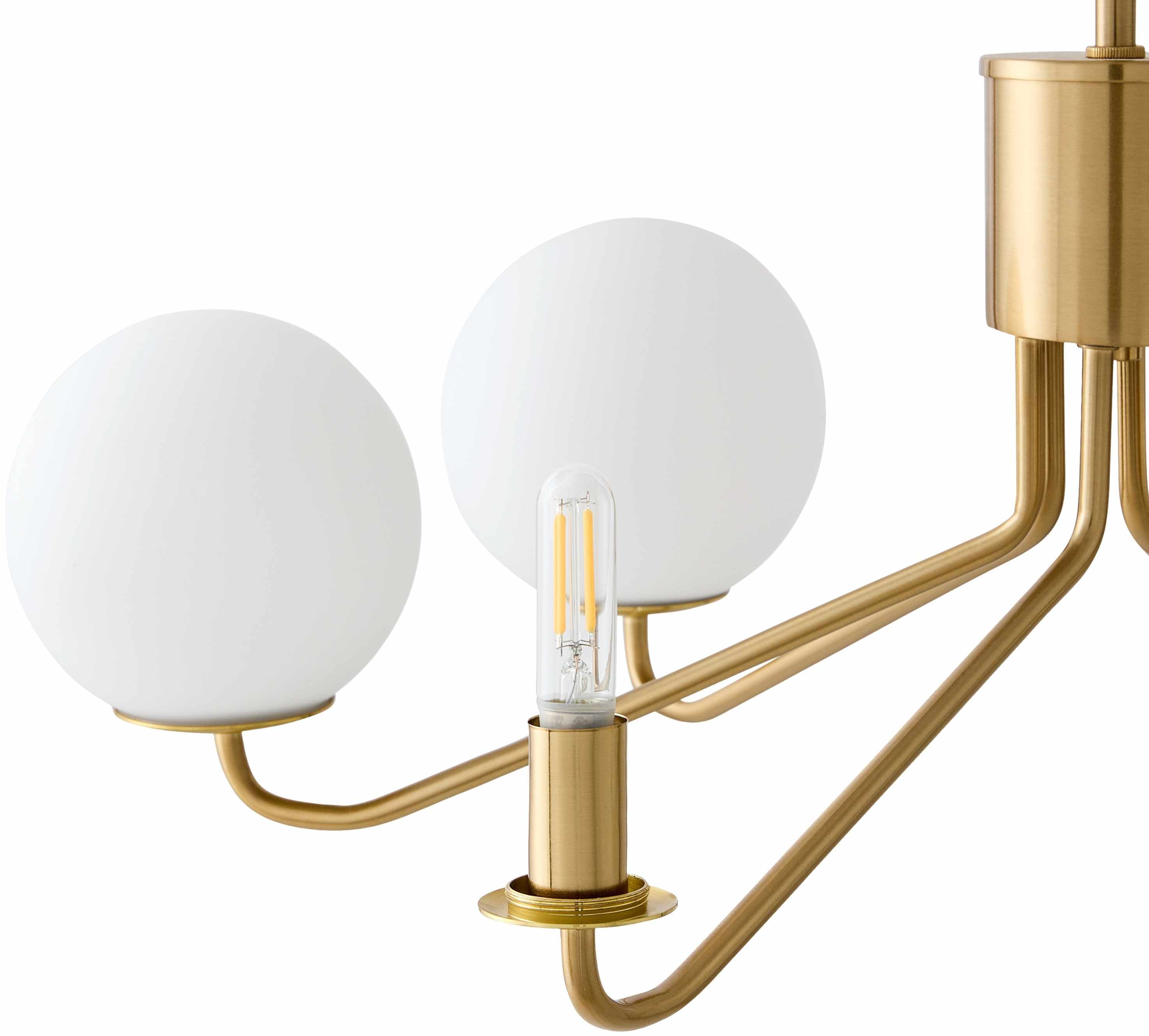 6-Light Gold Chandelier with Frosted Glass Shades on a white background with and without glass