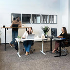 47.2 Inches Electric Standing Desk Height Adjustable