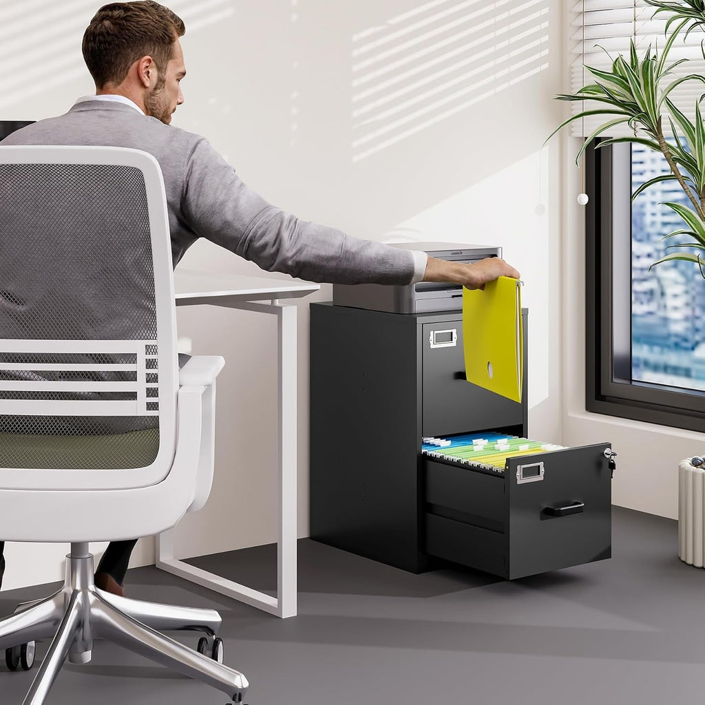 2 Drawer Locking Vertical File Cabinet For Letter Size Files Steel