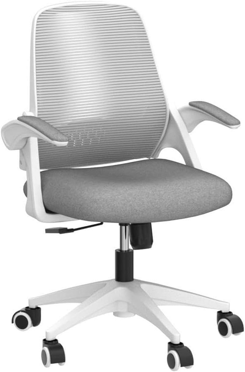 Ergonomic Chair With Lumbar Support And Adjustable Height