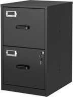 2 Drawer Locking Vertical File Cabinet For Letter Size Files Steel
