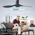 52 Inch Black Ceiling Fan With Remote And Light DC Motor