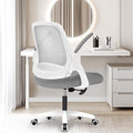 Ergonomic Chair With Lumbar Support And Adjustable Height