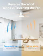 Ceiling fan with summer and winter mode illustrations in a room setting.