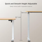 Electric Height Adjustable Desk 55 X 24 Memory Preset