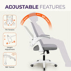 Ergonomic Chair With Lumbar Support And Adjustable Height