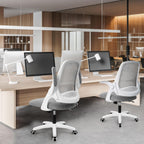 Ergonomic Chair With Lumbar Support And Adjustable Height